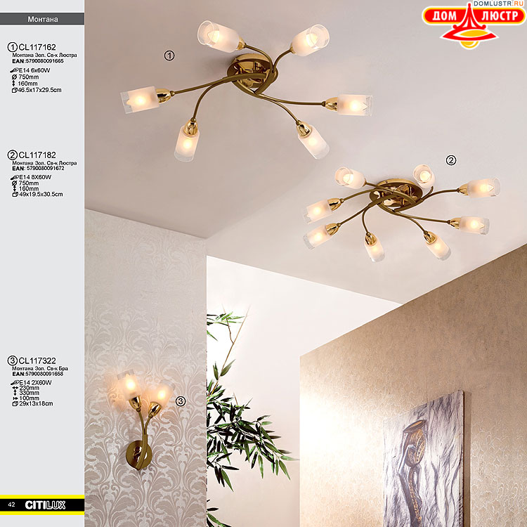 Citilux - ������ � ����������� �����, ���.: 042