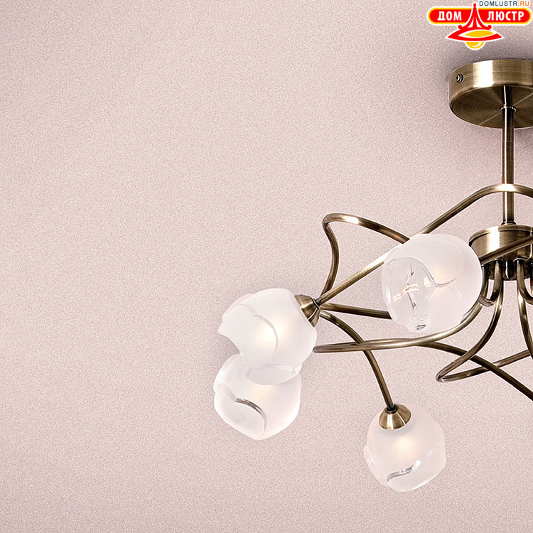 Citilux - ������ � ����������� �����, ���.: 062