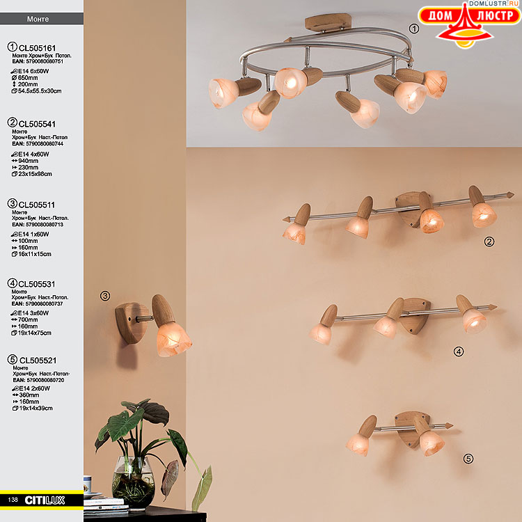 Citilux - ������ � ����������� �����, ���.: 138