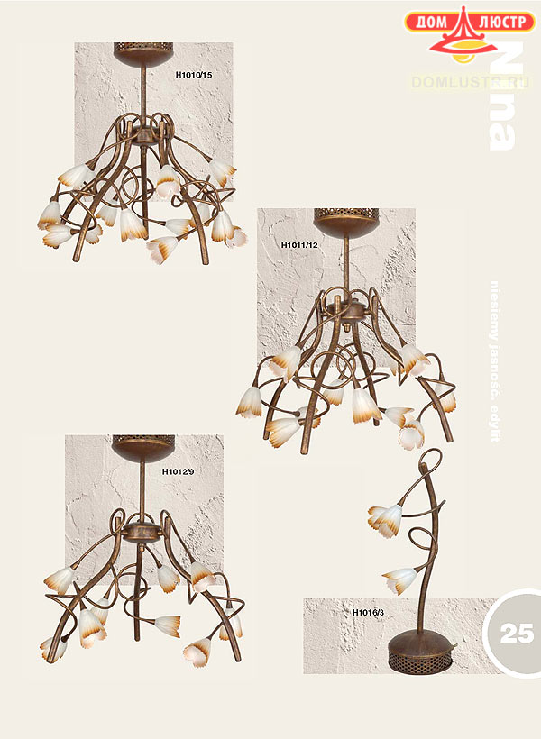 ������ � ����������� :: Edylit ���.: 025
