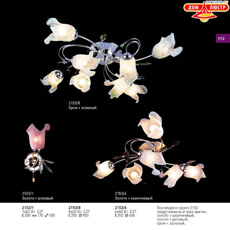 ��������� ������ � ����������� Light, ���.: 172